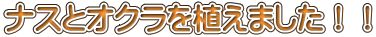 �i�X�ƃI�N����A���܂����I�I